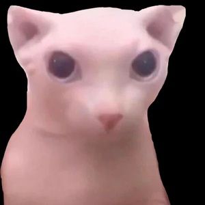 Meet your Posher, Jorge